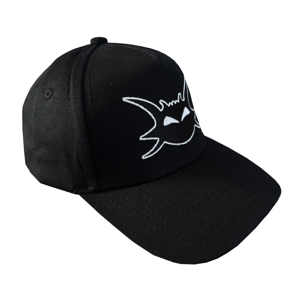 DD Snapback Cap